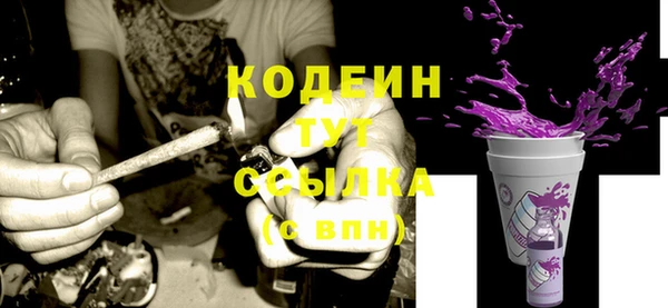 дживик Надым