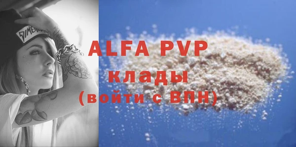 дживик Надым