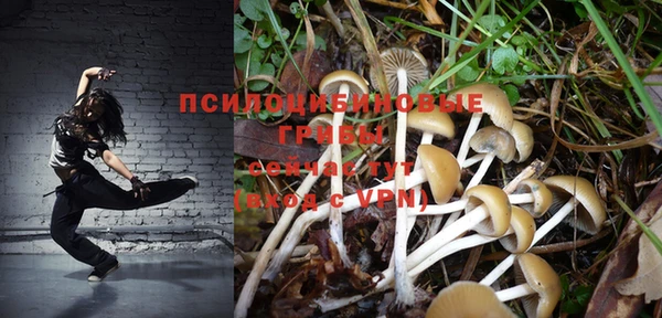 дживик Надым