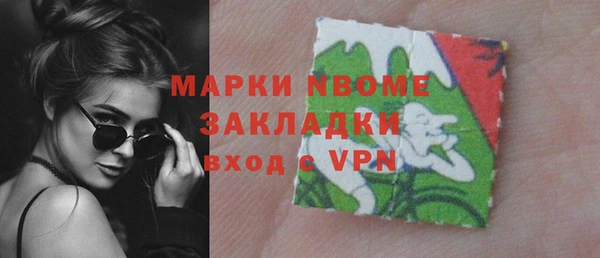 дживик Надым