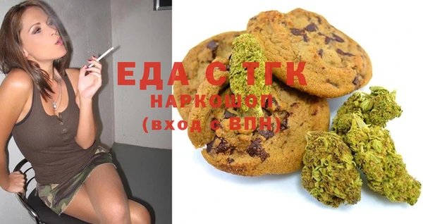 дживик Надым