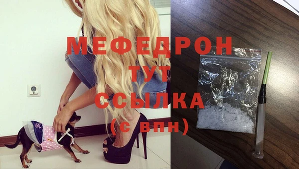дживик Надым