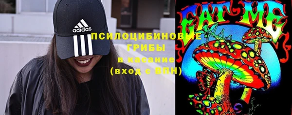 дживик Надым